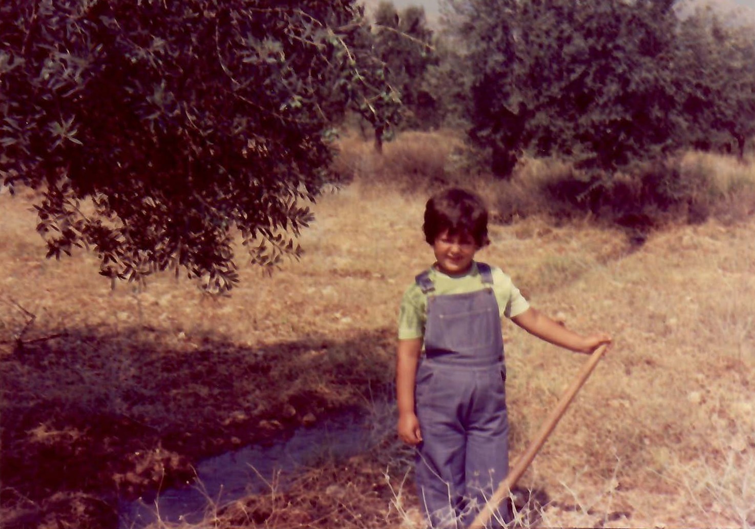 Young Girl at olive grove
